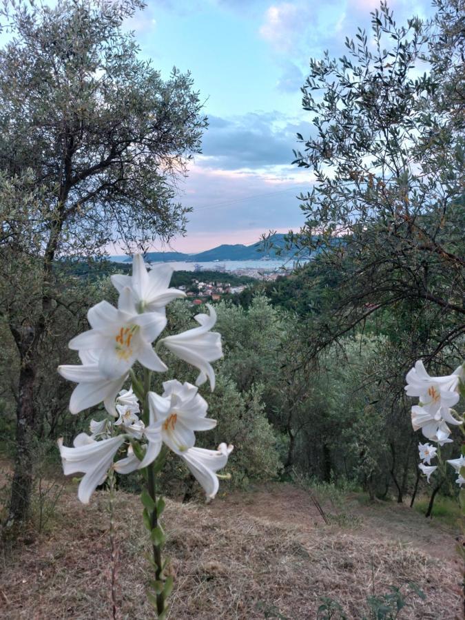 Вилла Agriturismo Oliva Azzurra Valeriano Lunense Экстерьер фото