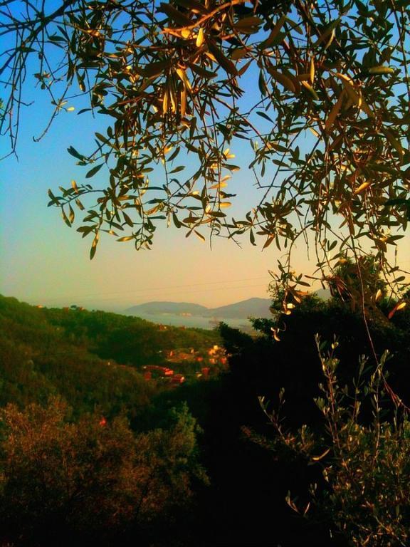 Вилла Agriturismo Oliva Azzurra Valeriano Lunense Экстерьер фото