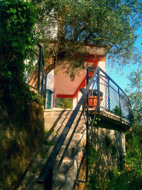 Вилла Agriturismo Oliva Azzurra Valeriano Lunense Экстерьер фото