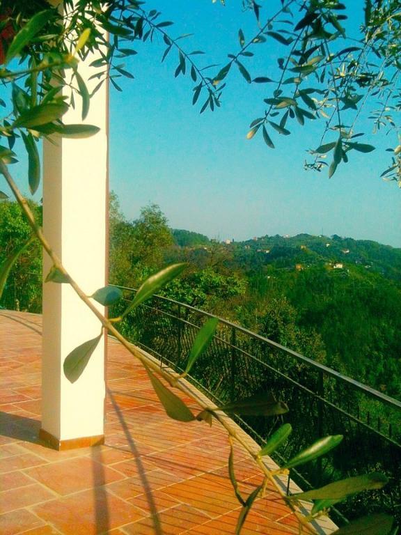 Вилла Agriturismo Oliva Azzurra Valeriano Lunense Экстерьер фото