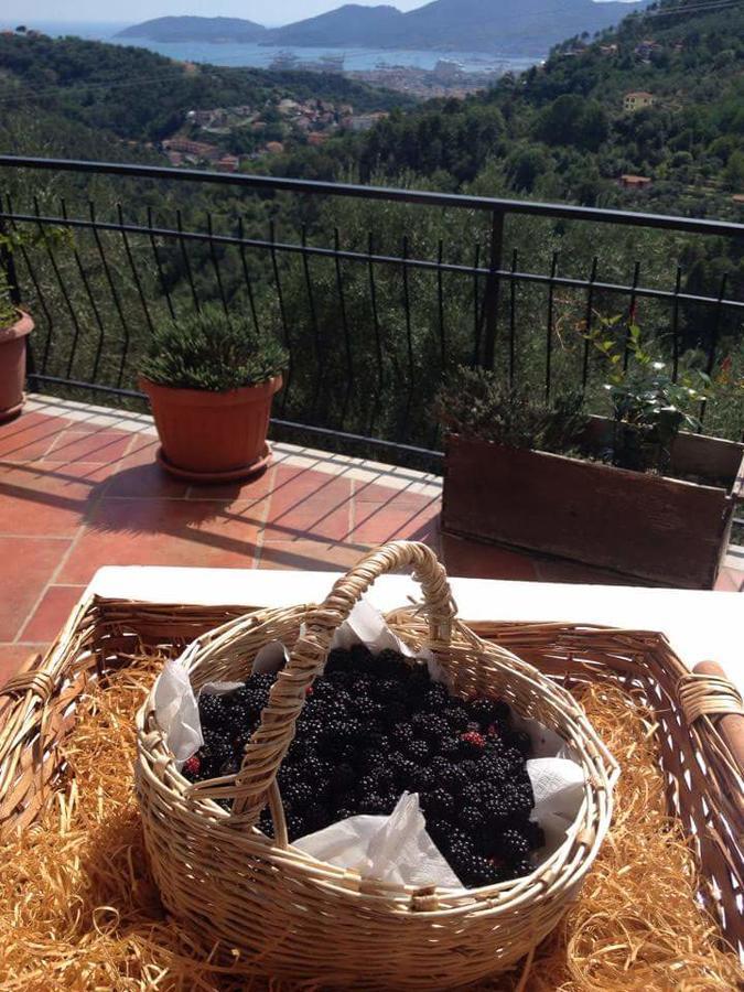 Вилла Agriturismo Oliva Azzurra Valeriano Lunense Экстерьер фото